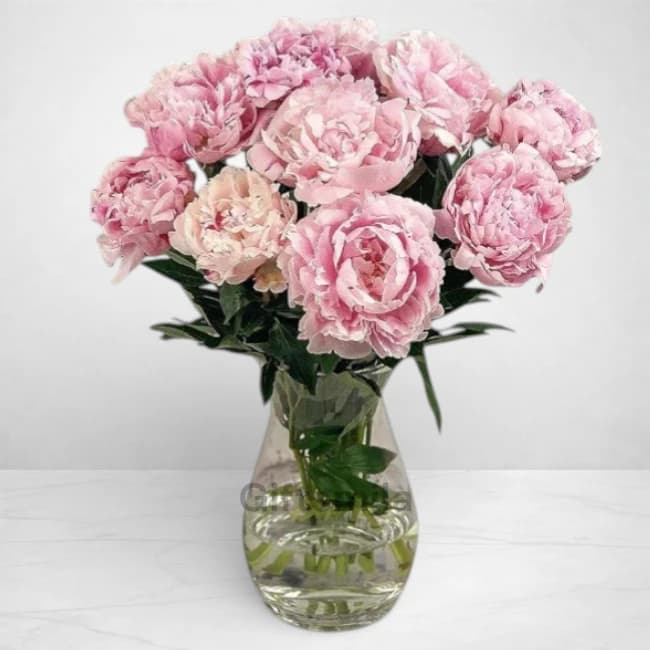 Baby Pink Peony Vase