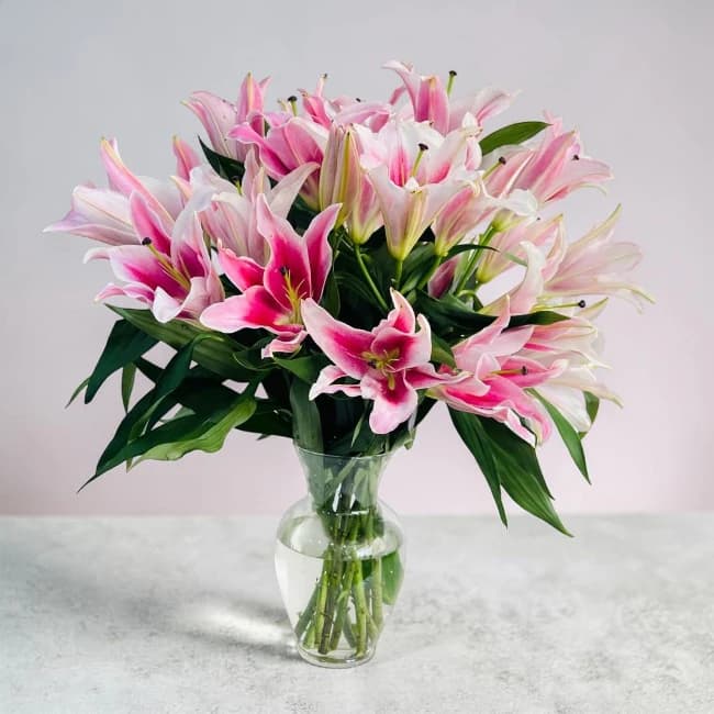 Premium Pink Lily Glass Vase