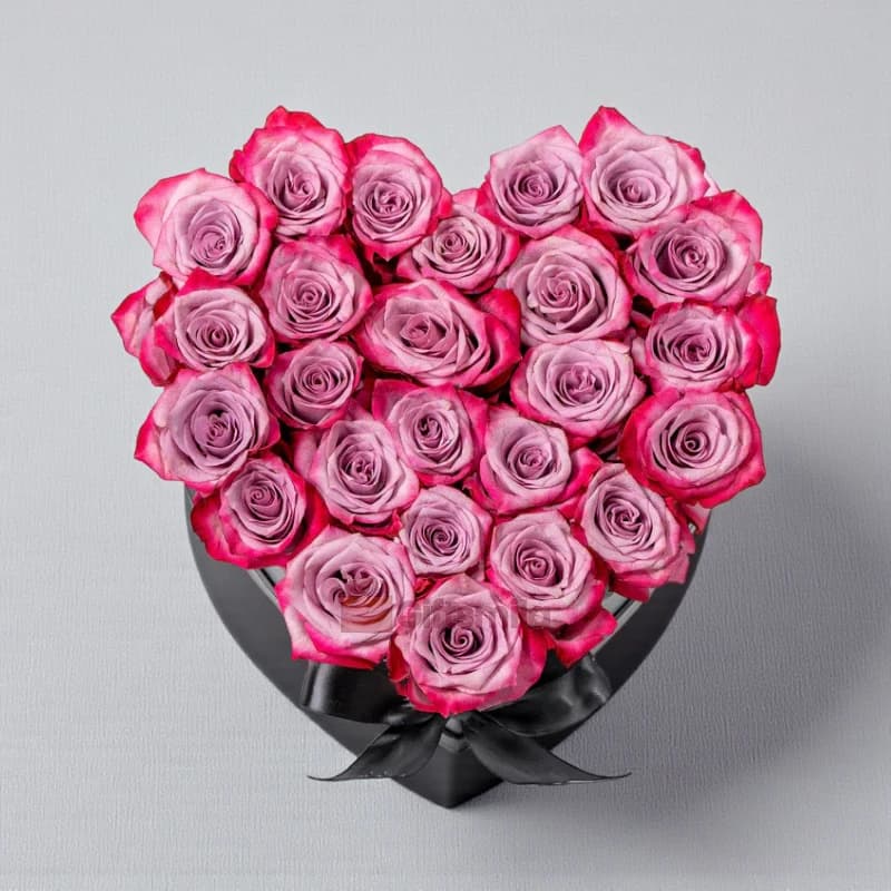 Purple Roses Heart